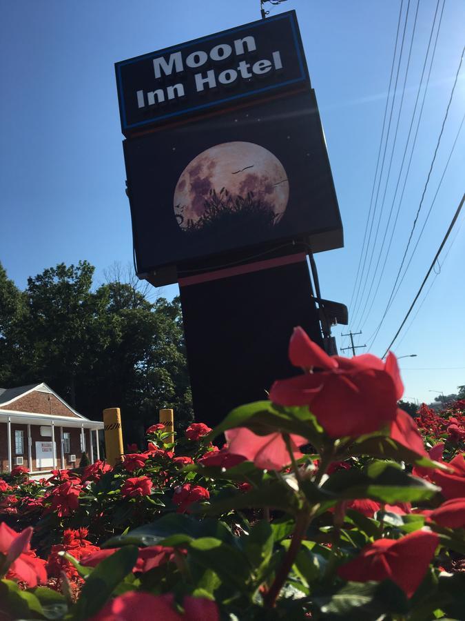 Moon Inn Hotel Alexandria Zewnętrze zdjęcie